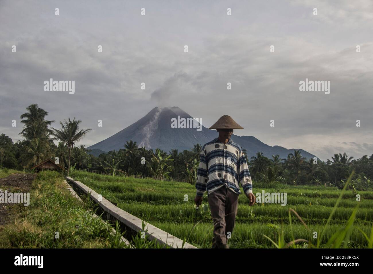 Sleman, YOGYAKARTA, INDONÉSIE. 20 janvier 2021. Un agriculteur marchant sur la toile de fond du Mont Merapi, qui émet de la fumée au-dessus de son sommet, est vu à Sleman, Yogyakarta, Indonésie, le mardi 20 janvier 2021. Le chef de l'Agence de recherche et de développement en cas de catastrophe géologique (BPPTKG), Hanik Humaida, a déclaré que le Mont Merapi avait éclaté huit fois avec une distance de glissement maximale de 1,500 mètres au sud-ouest. Nuage chaud d'avalanche d'amplitude maximale de 30 mm, durée maximale de 192 secondes. Credit: Slamet Riyadi/ZUMA Wire/Alamy Live News Banque D'Images