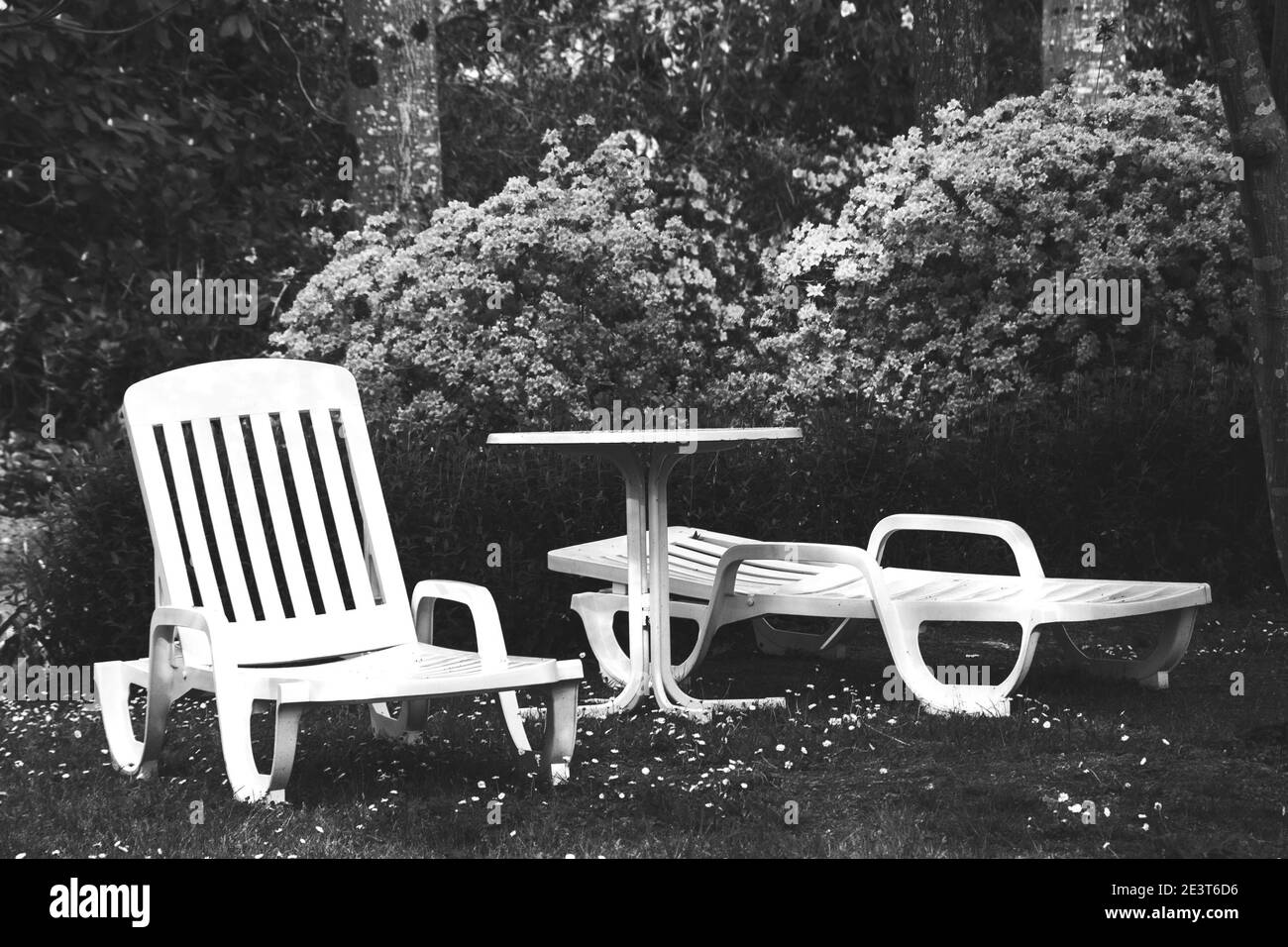 Deux chaises longues et une table dans le magnifique jardin vide de la station. Arrière-plan de vacances annulé. Concept de restrictions de voyage. Photo historique noir blanc Banque D'Images