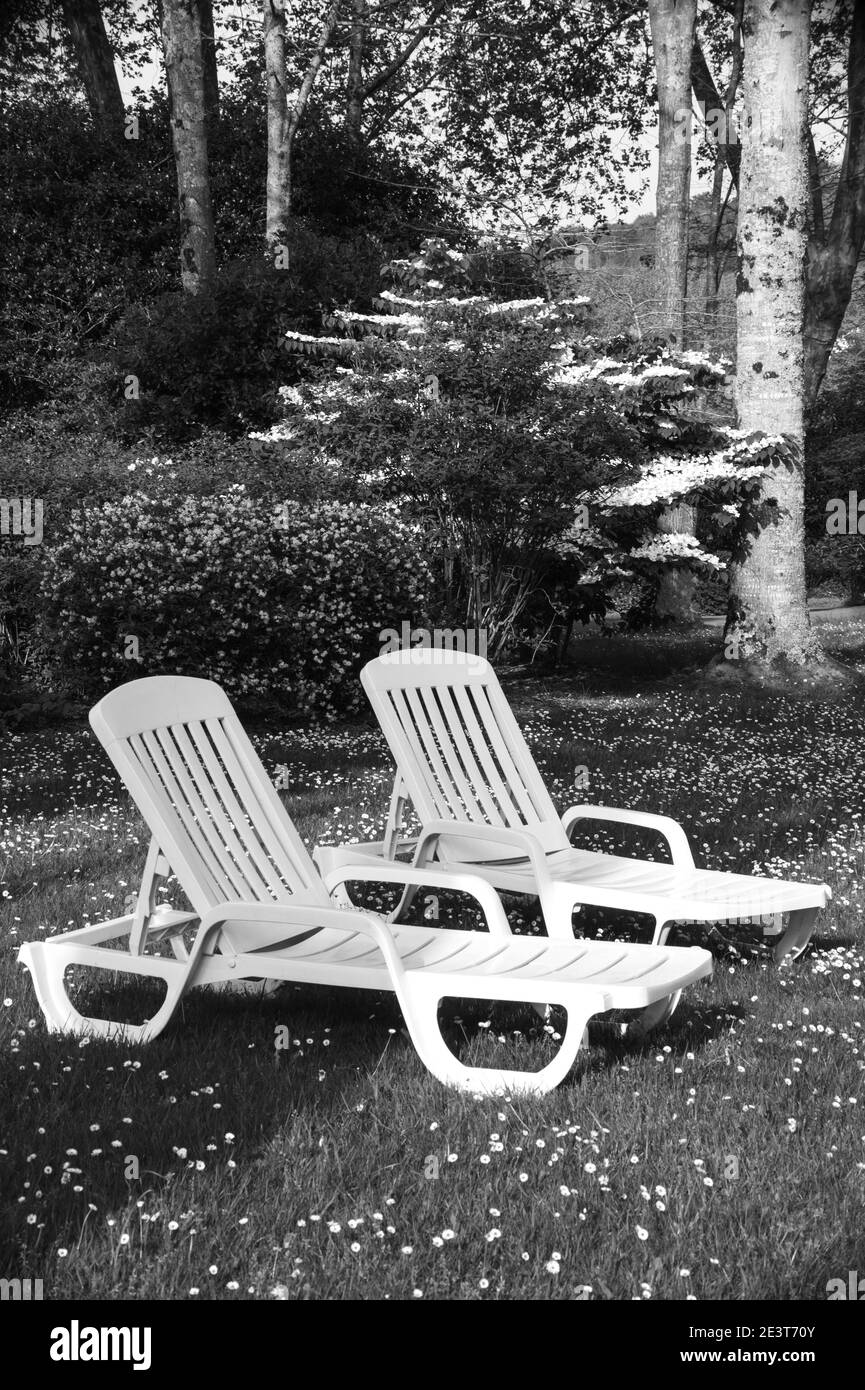 Deux chaises longues dans le jardin vide du complexe. Arrière-plan de vacances annulé. Concept de restrictions de voyage. Photo historique noir blanc. Banque D'Images