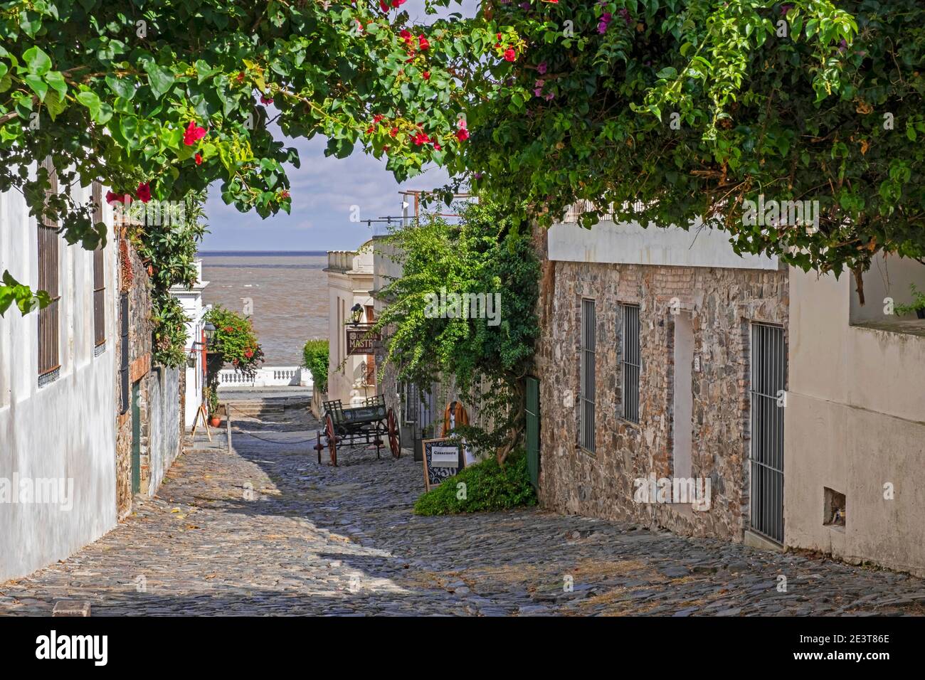 Rue pavée / allée dans le quartier colonial Barrio Historico / quartier historique portugais de la ville Colonia del Sacramento, sud-ouest de l'Uruguay Banque D'Images
