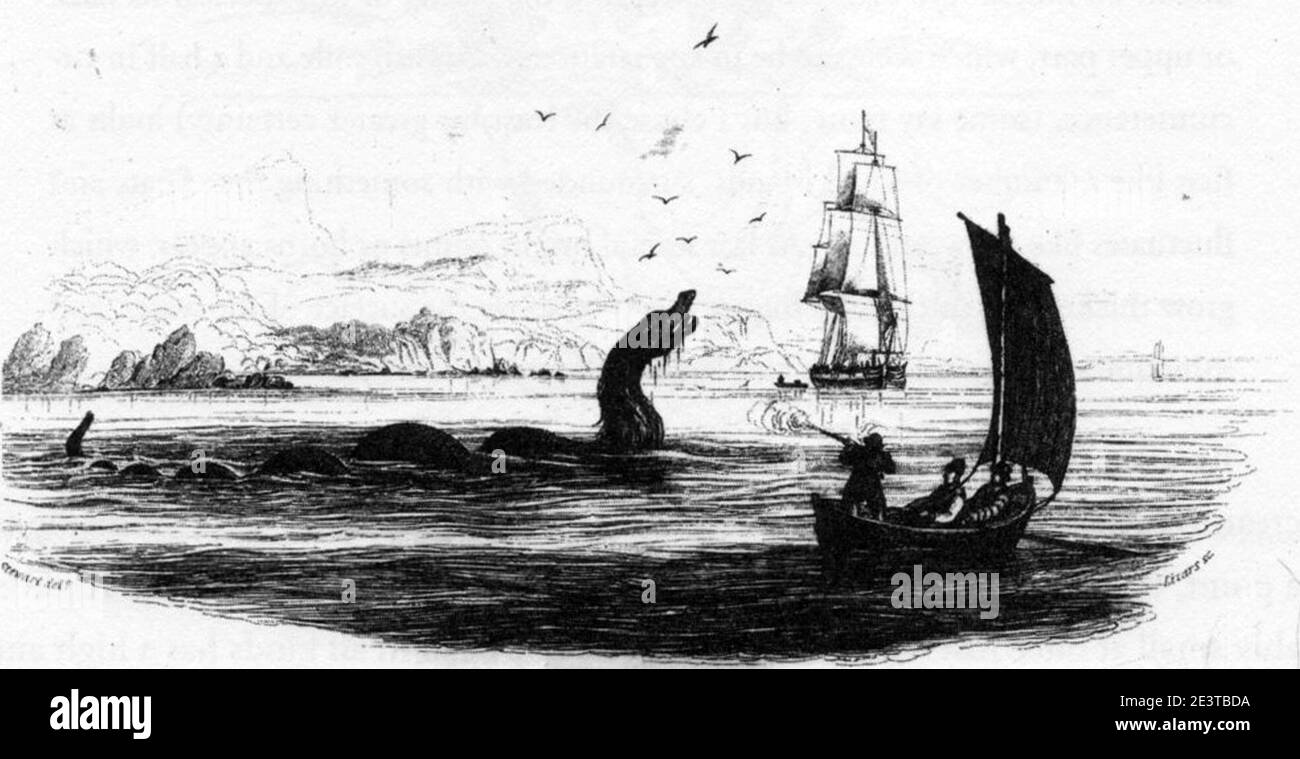Serpent de mer à l'homme 1755. Banque D'Images