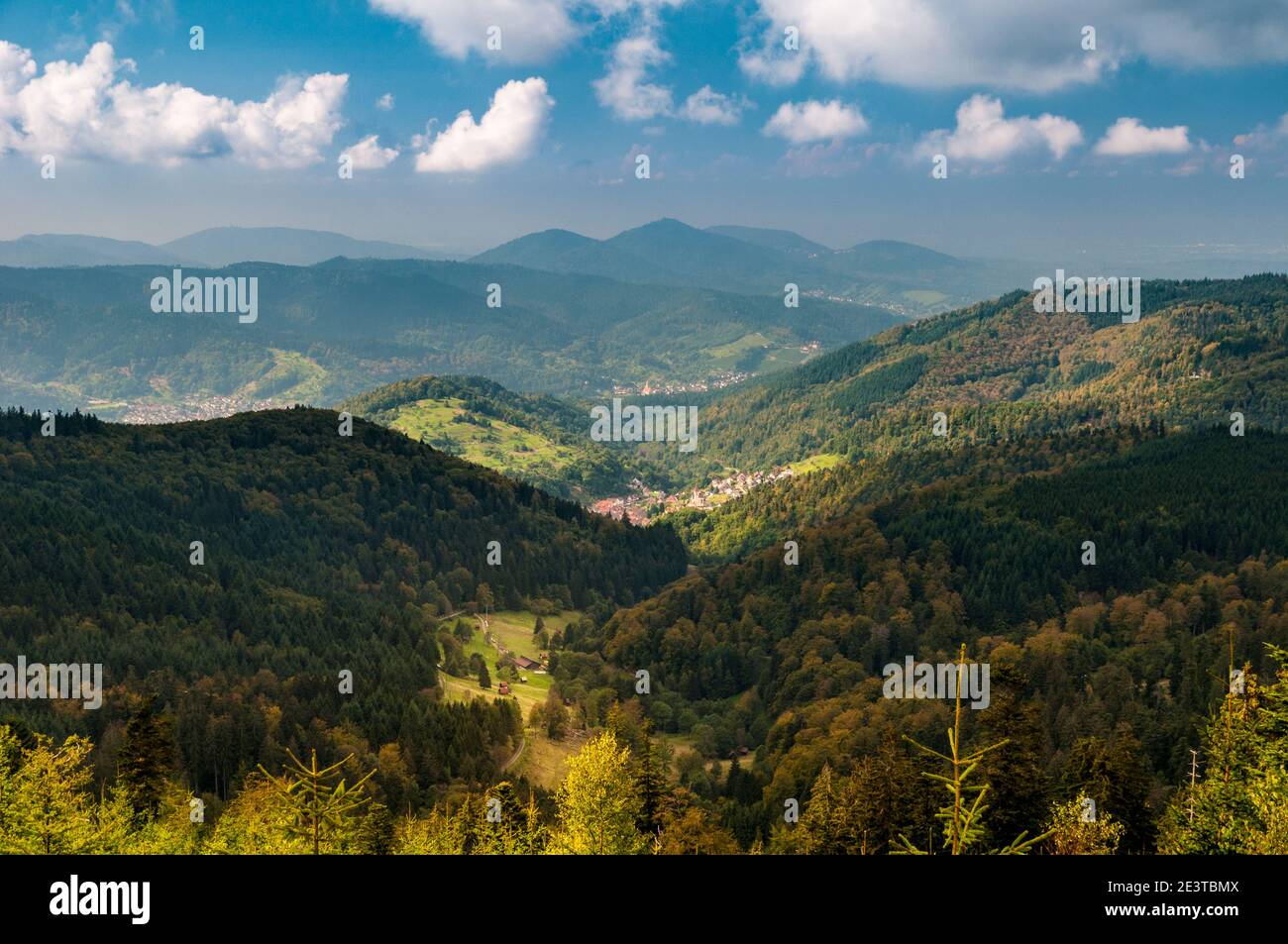 Vue sur la Forêt-Noire depuis la route entre Bad Wildbad et Baden-Baden, Allemagne. Septembre. Banque D'Images