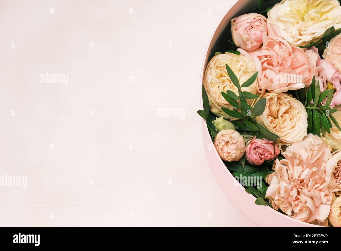 Une fleur élégante et délicate dans une boîte ronde à chapeau sur fond rose avec espace de copie. Boîte cadeau pour le 8 mars, Journée internationale de la femme Banque D'Images