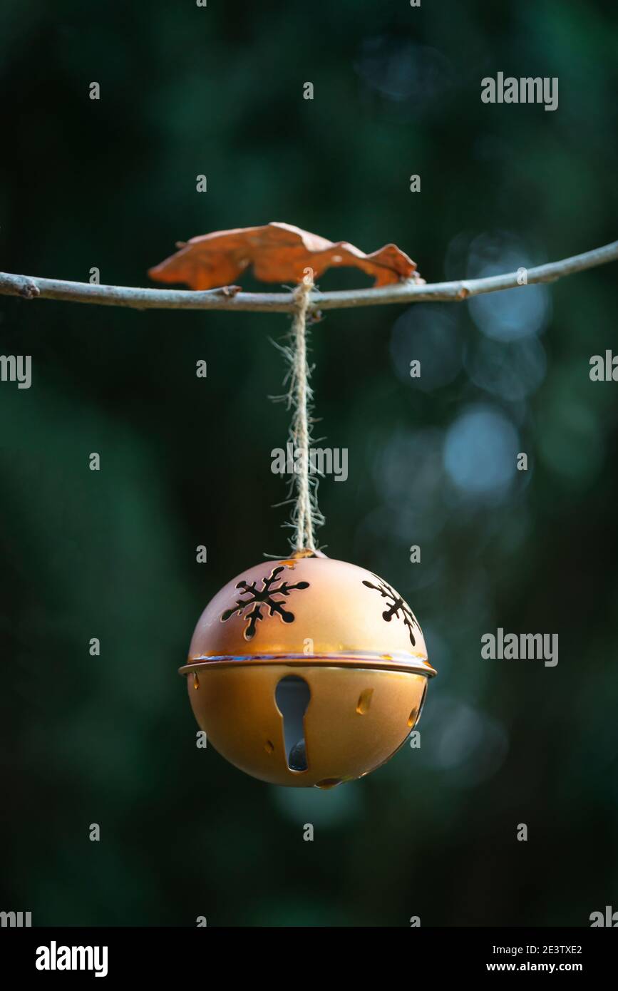 Oudoors décorations de Noël, gros plan d'une boule de Noël dorée accrochée sur un arbre dans un parc / une forêt à Southampton, Angleterre, Royaume-Uni Banque D'Images