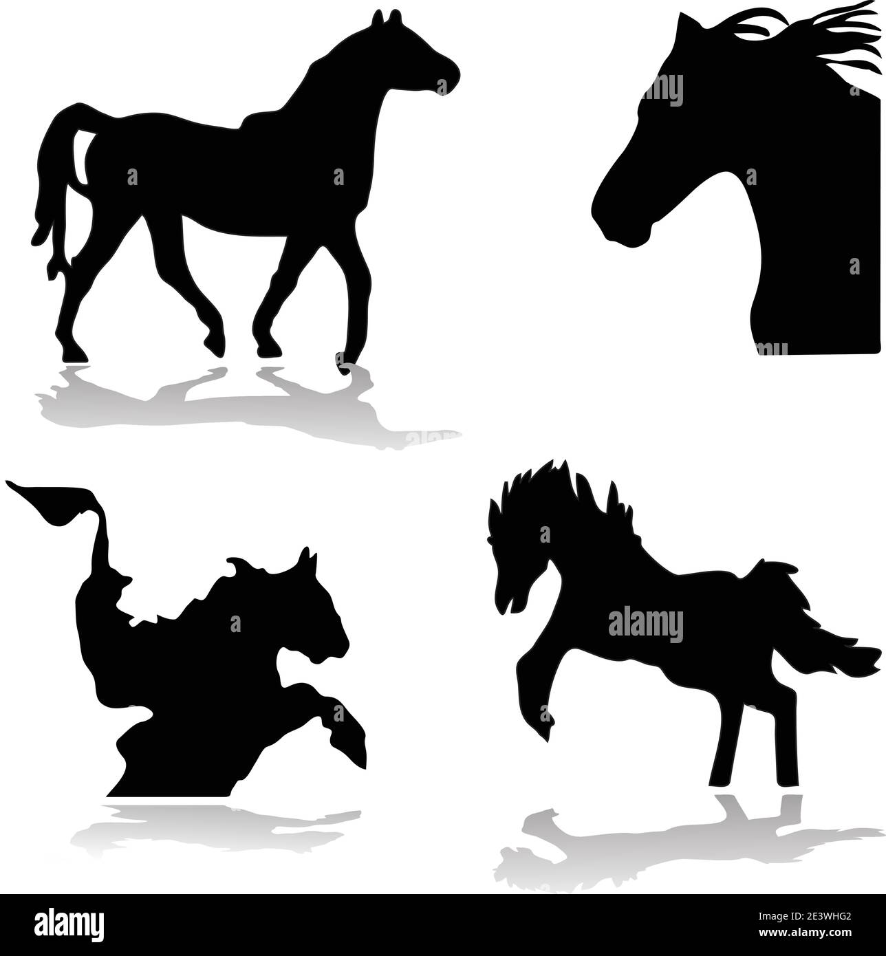 Silhouette de cheval vecteur isolée sur blanc Illustration de Vecteur