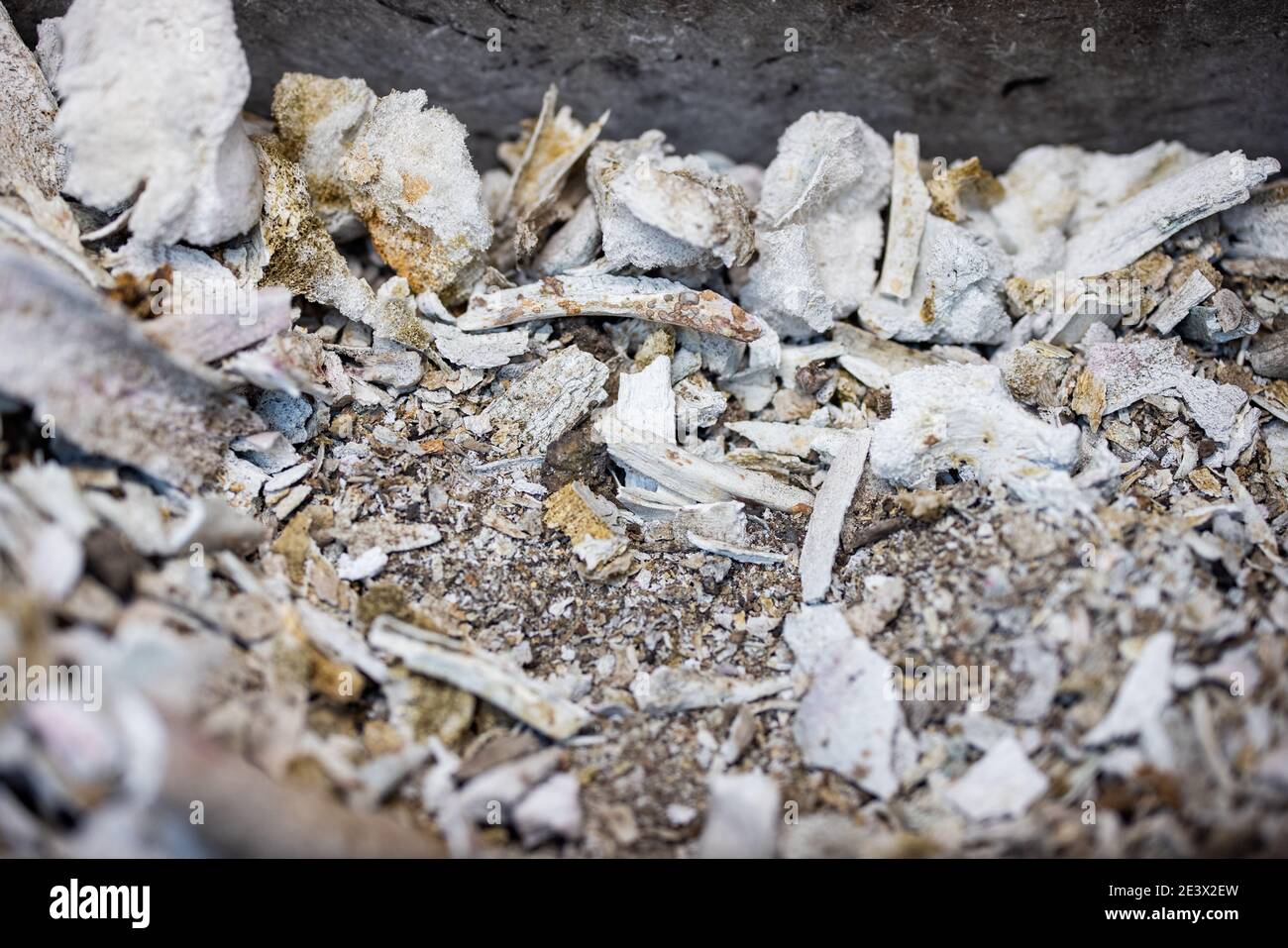 19 janvier 2021, Rhénanie-du-Nord-Westphalie, Dülmen: Les restes humains d'une personne décédée et d'autres composants tels que le bois d'un cercueil se trouvent dans un bol après une crémation dans le crématorium 'Cretations Dülmens'. Ils sont ensuite finement peints et remplis dans une urne. Photo: Rolf Vennenbernd/dpa Banque D'Images