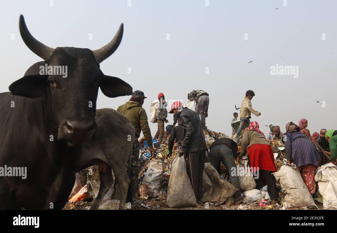 Neu Delhi, Inde. 18 janvier 2021. Les ramasseurs de chiffons recherchent des déchets recyclables sur le site d'enfouissement de Bhalswa. (À dpa 'Blight of the World: Poverty fore millions of Children to work') Credit: Vijay Pandey/dpa/Alay Live News Banque D'Images