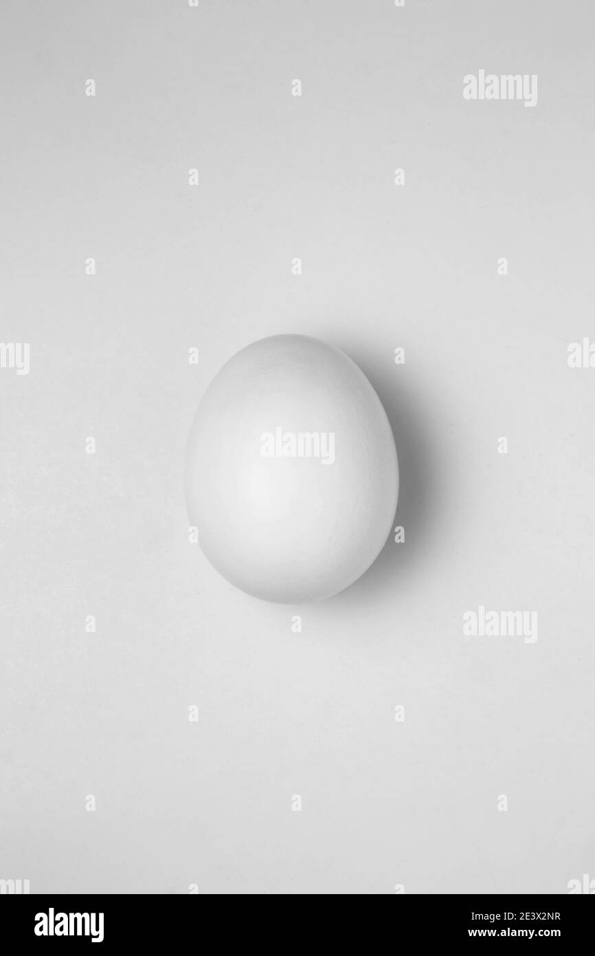 Un œuf blanc sur fond blanc Banque D'Images