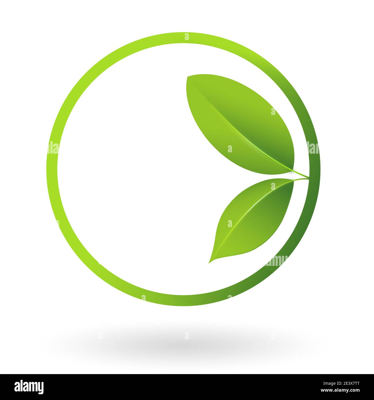 Logo en forme de feuille verte dans un cercle. Illustration. Banque D'Images