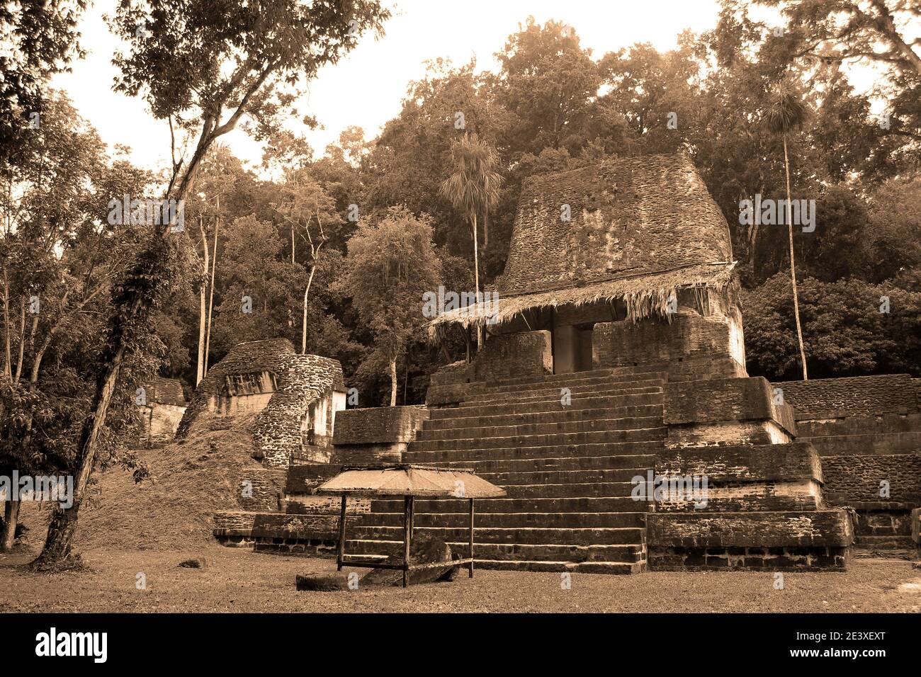 Temple maya à Tikal National Park Banque D'Images