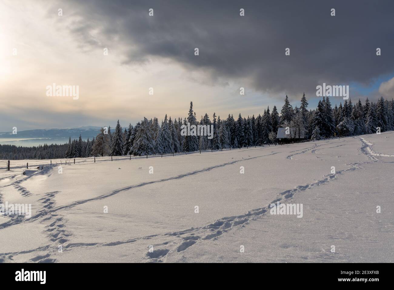 Traces dans la neige autour de Knödel Hut à Packalpe, Autriche Banque D'Images