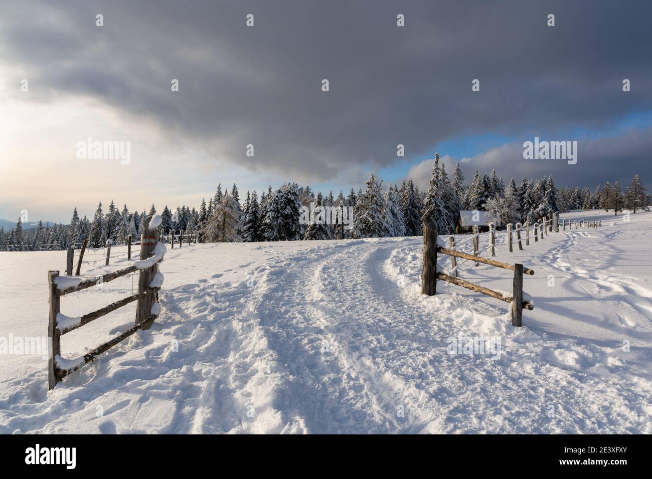 Winterly Packalpe en Autriche Banque D'Images