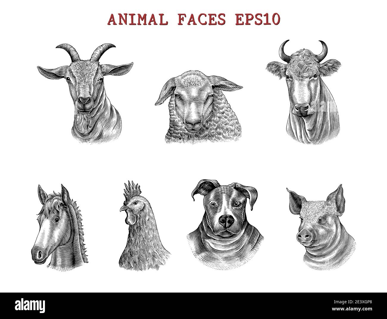 Les visages d'animaux dessinent à la main le style de gravure clip noir et blanc art isolé sur fond blanc Illustration de Vecteur