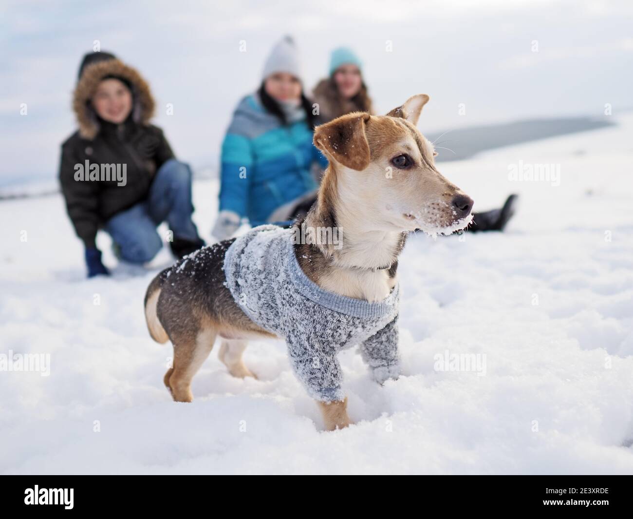 la famille marche le petit chien en vêtements de laine dans le neige en hiver Banque D'Images