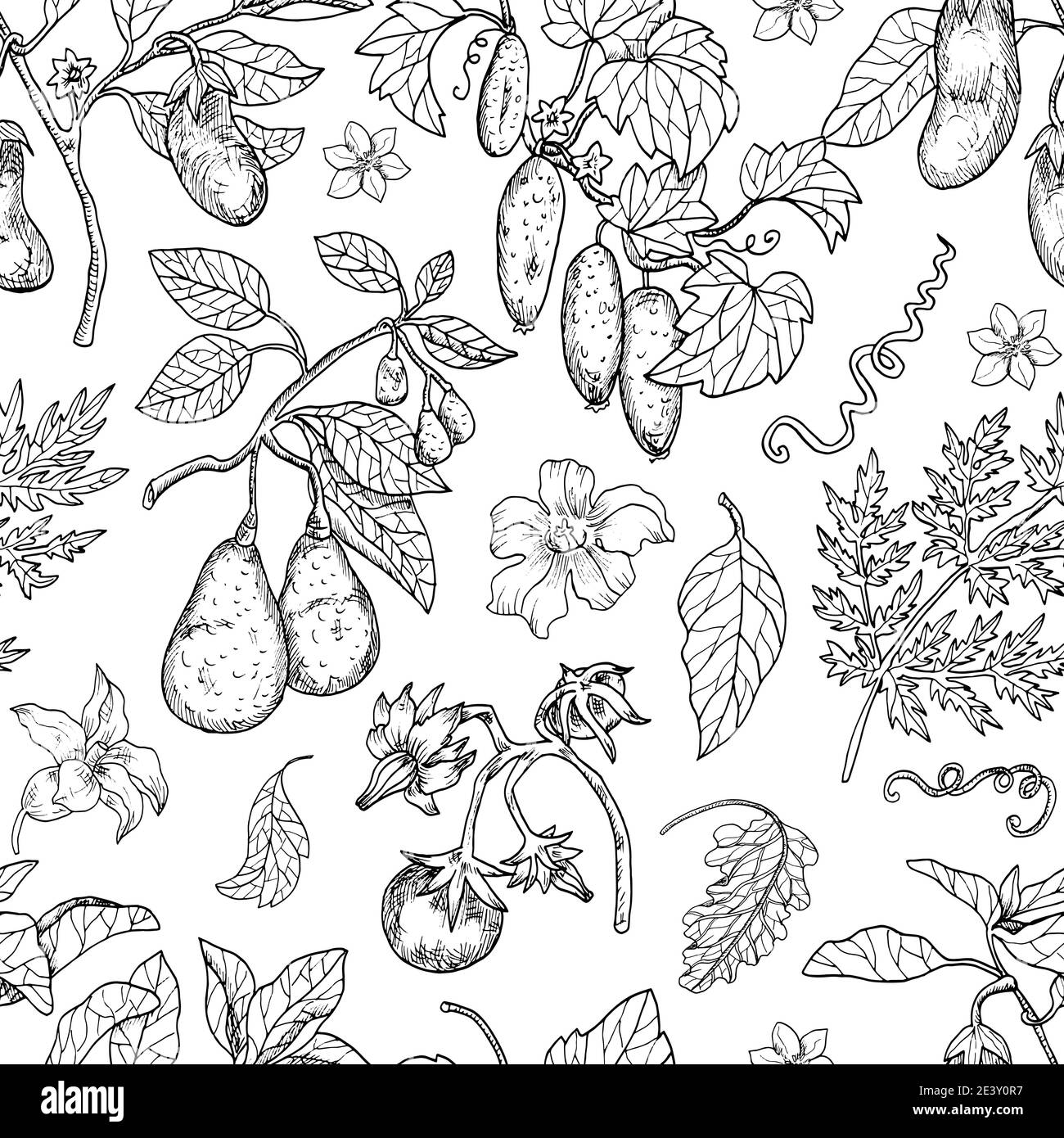 Motif sans couture avec avocat, tomate, poivre et autres légumes. Illustration vectorielle dessinée à la main, art noir et blanc, alimentation saine, v Illustration de Vecteur