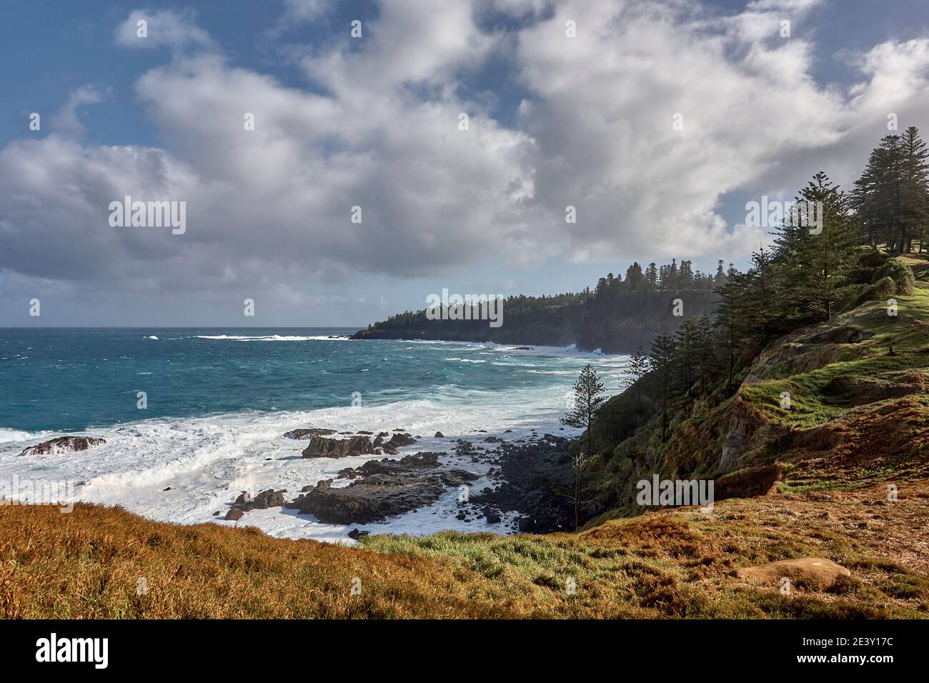 Vue sur la baie de Cresswell et sa côte avec des vagues qui s'écrasant contre les rochers et les pins Norfolk au bord de la falaise, île Norfolk, Australie Banque D'Images