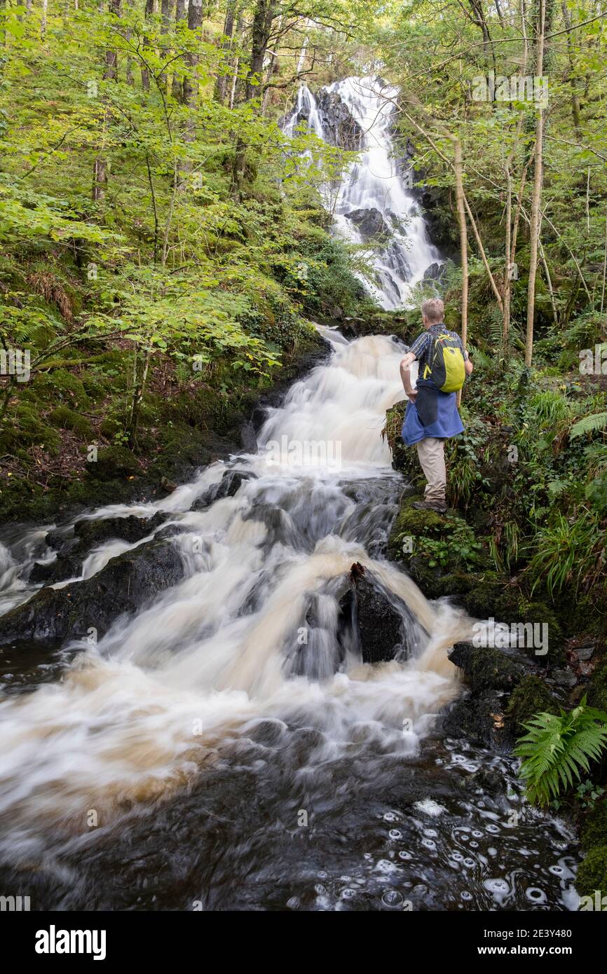 Walker à côté de la chute d'eau de Pulhowan dans la réserve naturelle du bois de Cree, RSPB, près de Newton Stewart, Galloway, Écosse. Banque D'Images