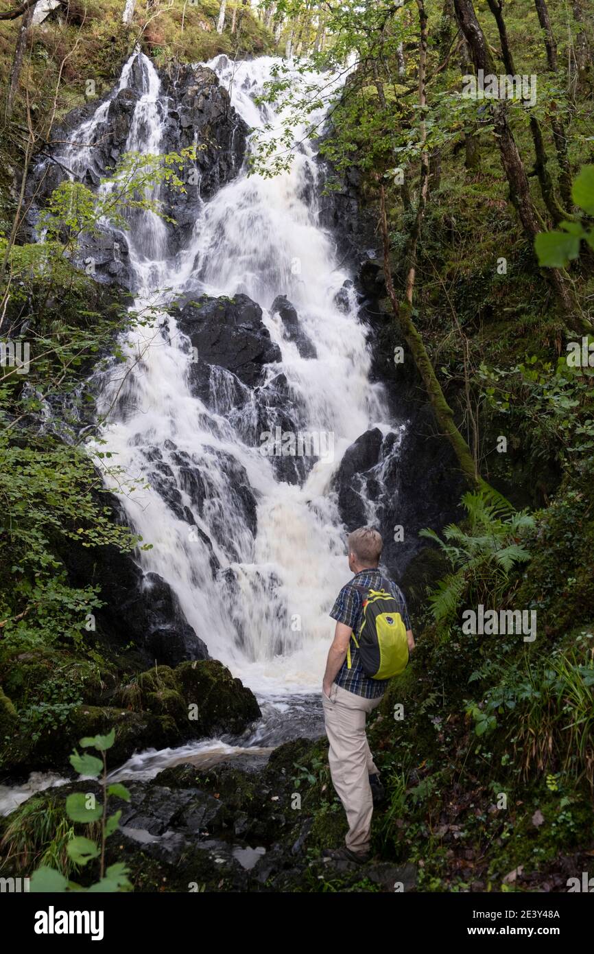 Walker à côté de la chute d'eau de Pulhowan dans la réserve naturelle du bois de Cree, RSPB, près de Newton Stewart, Galloway, Écosse. Banque D'Images