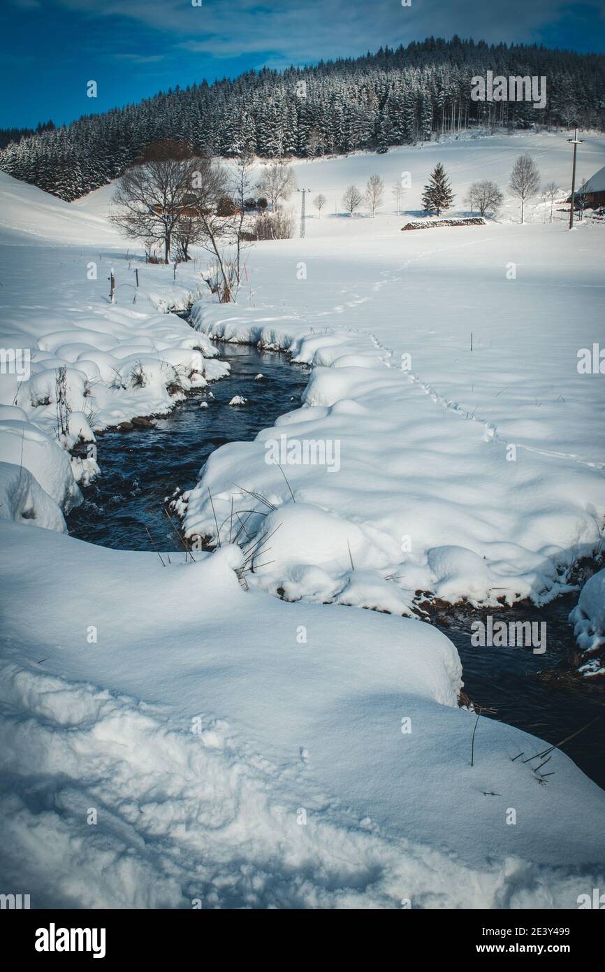 Hiver dans la Forêt Noire en Allemagne Banque D'Images