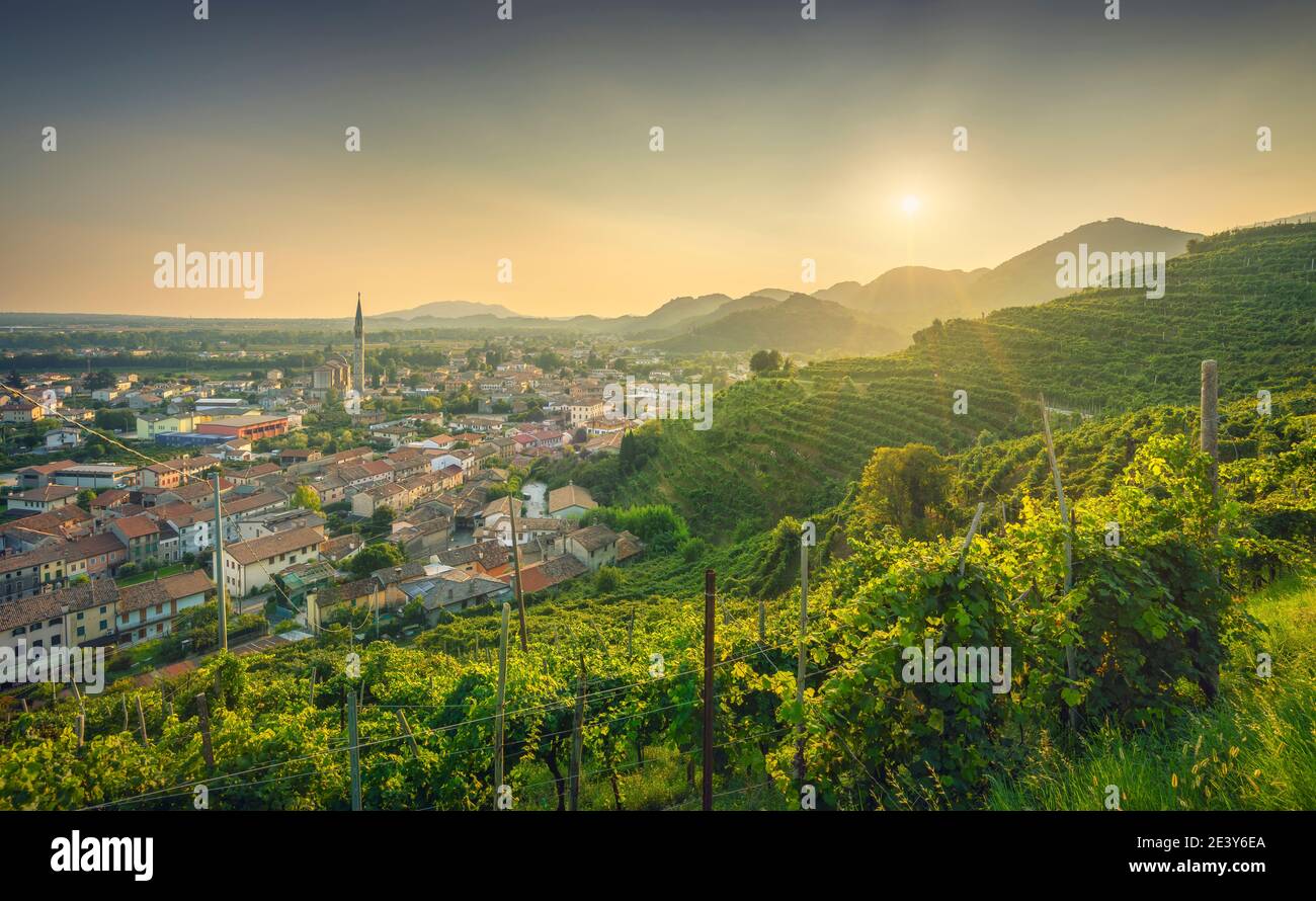 Col San Martino, vignobles et village au coucher du soleil. Prosecco Hills, site classé au patrimoine mondial de l'UNESCO. Farra di Soligo, Vénétie, Italie, Europe. Banque D'Images