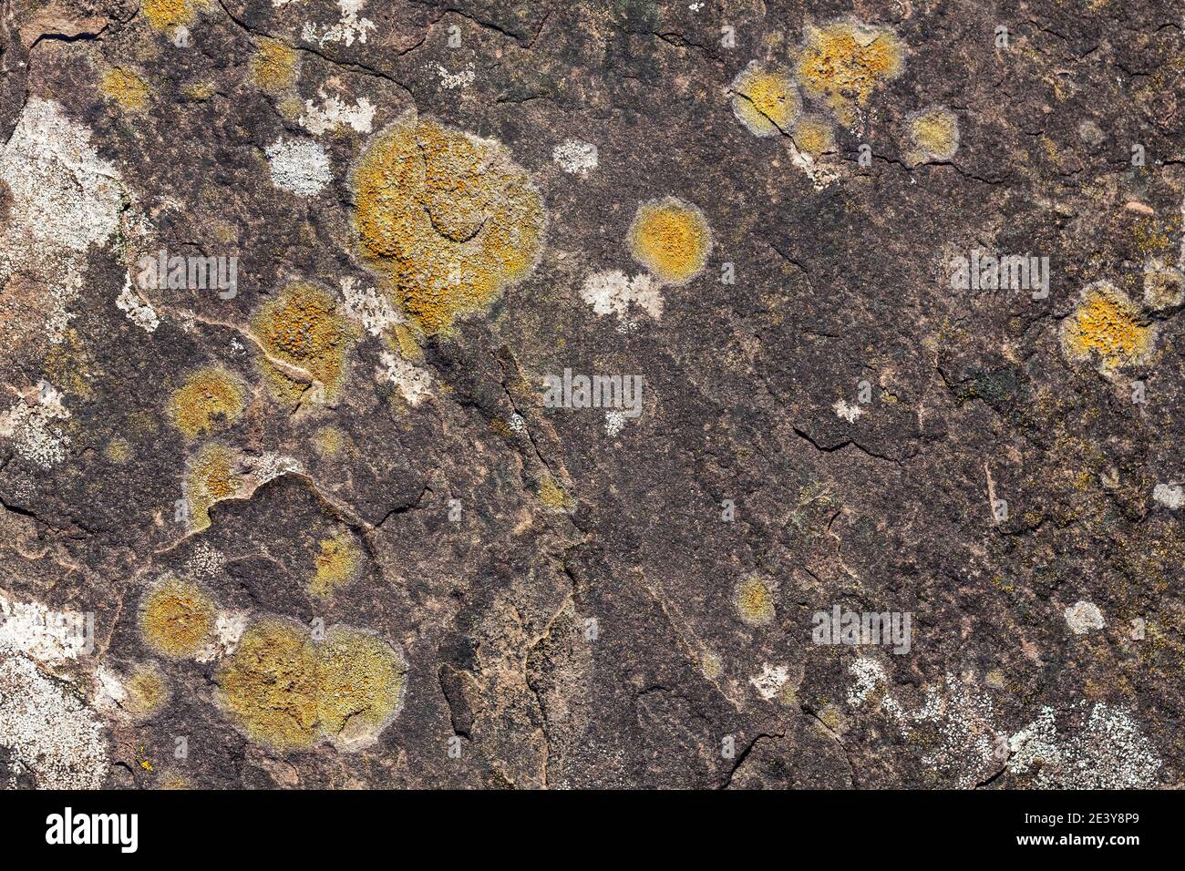 Mur en pierre style grunge texturé gros plan coloré brun et jaune avec une surface abstraite de texture lichen, image de stock photo Banque D'Images