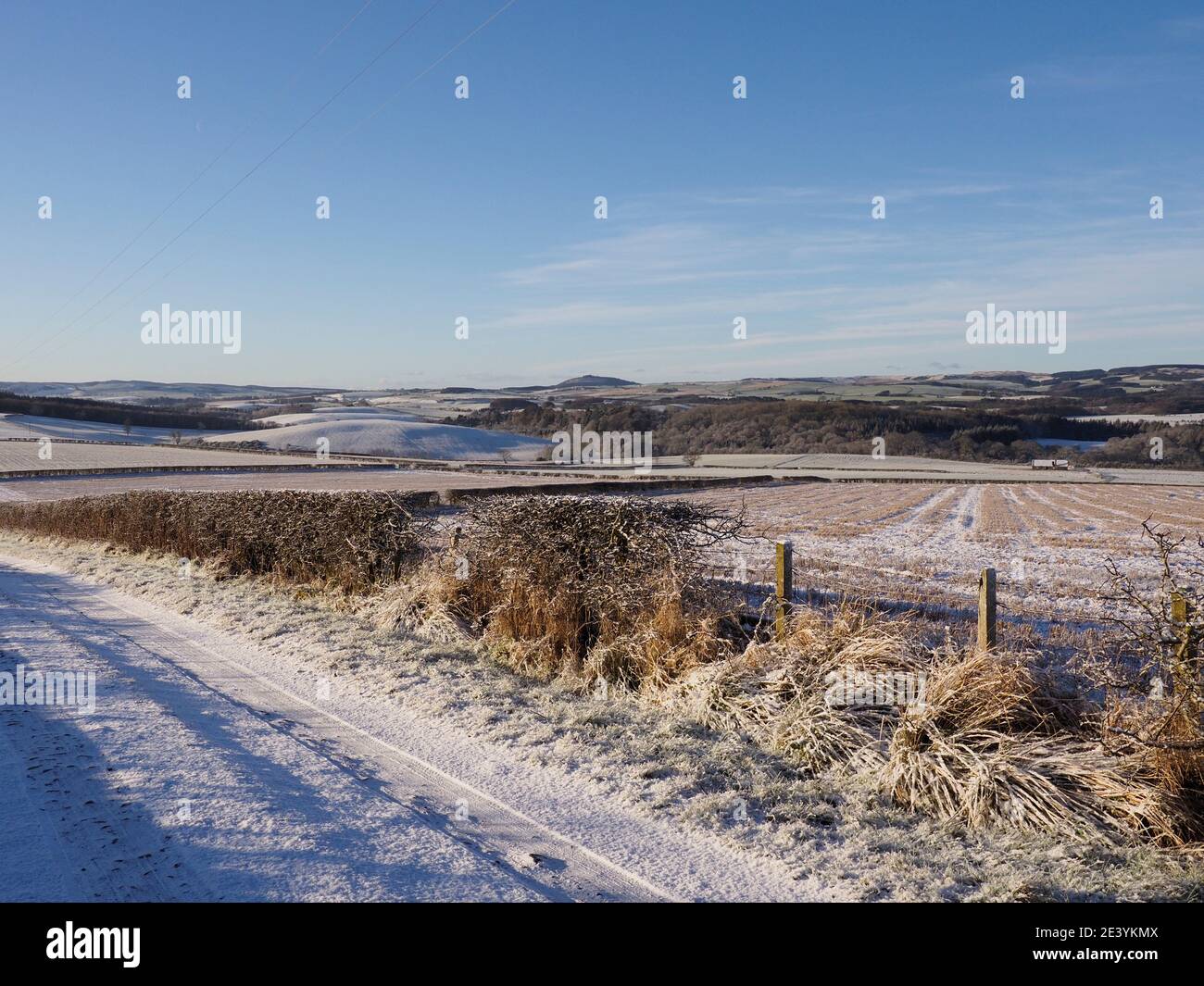 Ayrshire campagne Ecosse sous le soleil et la neige janvier 2021 Banque D'Images