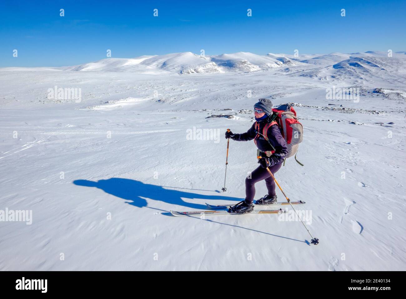 Ski d'alpinisme sur Snohetta à Dovre, l'une des plus hautes montagnes de Norvège Banque D'Images