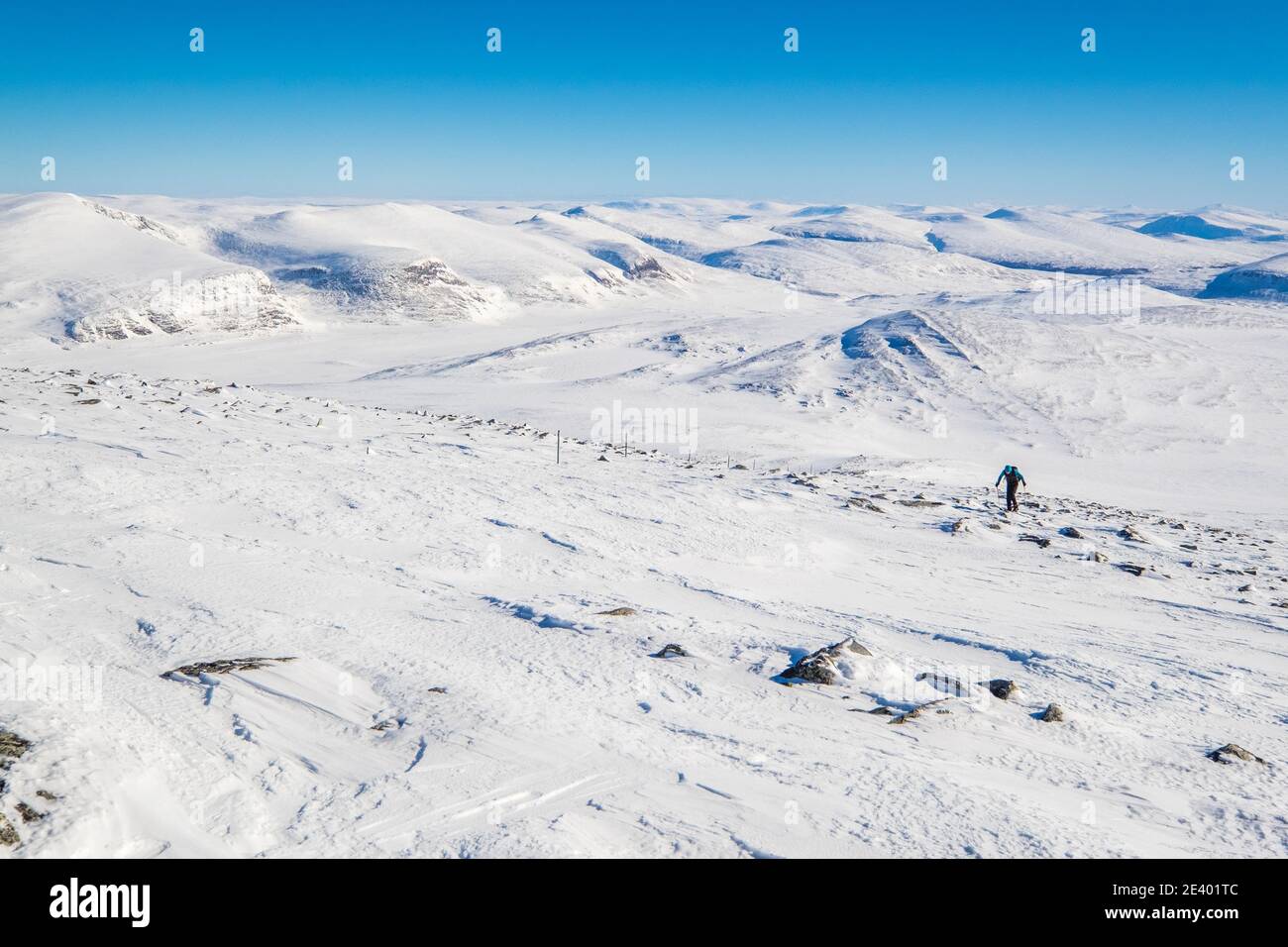 Ski d'alpinisme sur Snohetta à Dovre, l'une des plus hautes montagnes de Norvège Banque D'Images