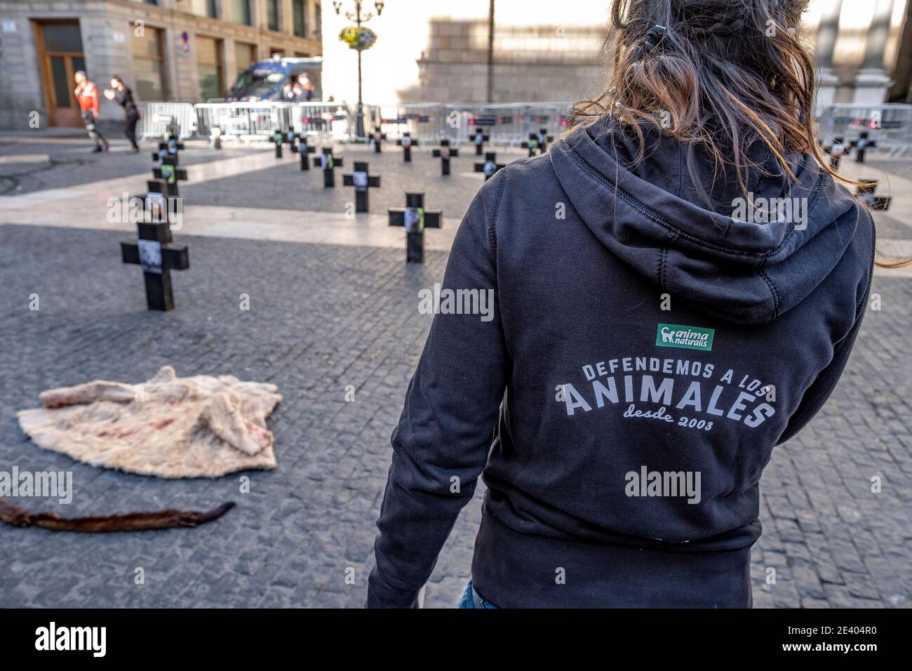 Barcelone, Espagne. 21 janvier 2021. Un activiste d'Anima Naturalis est vu sur la Plaza de Sant Jaume portant un t-shirt avec un logo en défense des animaux pendant la manifestation.activistes de l'organisation de défense de tous les animaux, AnimaNaturalis, Ont organisé une démonstration sur la Plaza de Sant Jaume contre la cruauté envers les animaux des fermes qui fournissent l'industrie de la fourrure. Crédit : SOPA Images Limited/Alamy Live News Banque D'Images