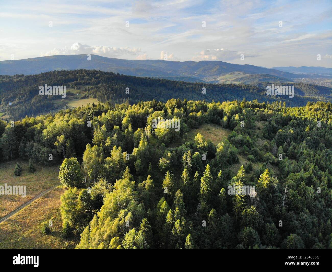 Beskids en Pologne. Paysage de Zywiec Beskids (Beskid Zywiecki) près de Milowka. Banque D'Images