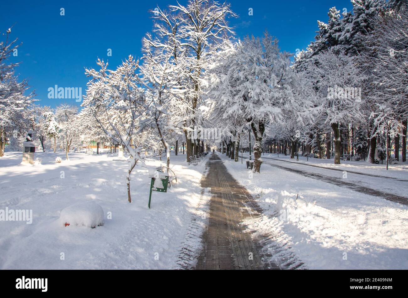 Conte de fées d'hiver - neige dans le parc de la ville de Bitola, Macédoine Banque D'Images