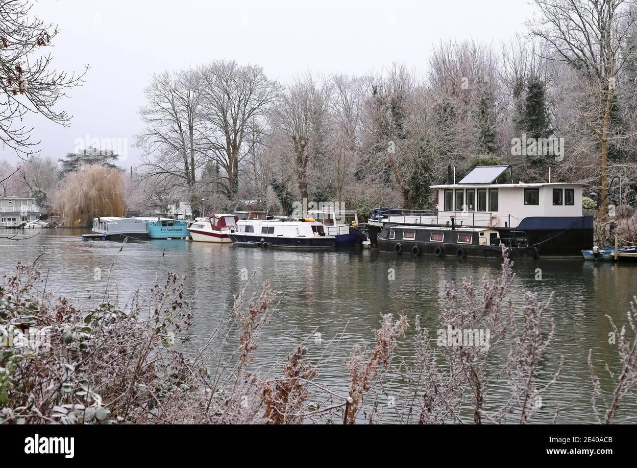 Péniche à Ash Island le matin, Hampton court, East Molesey, Surrey, Angleterre, Grande-Bretagne, Royaume-Uni, Royaume-Uni, Europe Banque D'Images