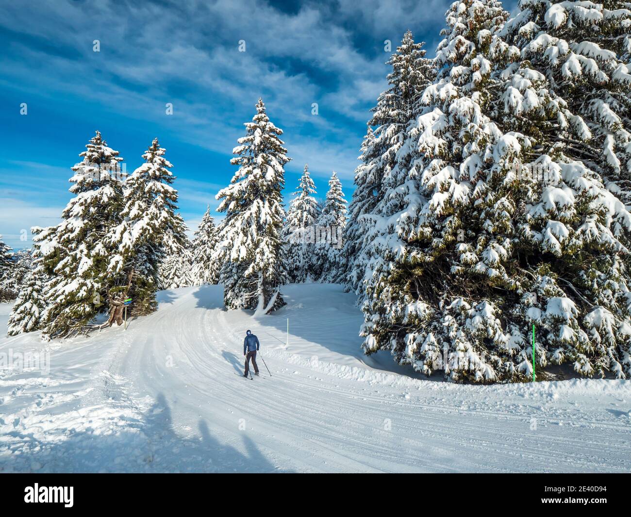 Ski de fond sur la montagne Semnoz en hiver. Ski de fond sur les pistes de  ski entre les arbres couverts de neige Photo Stock - Alamy