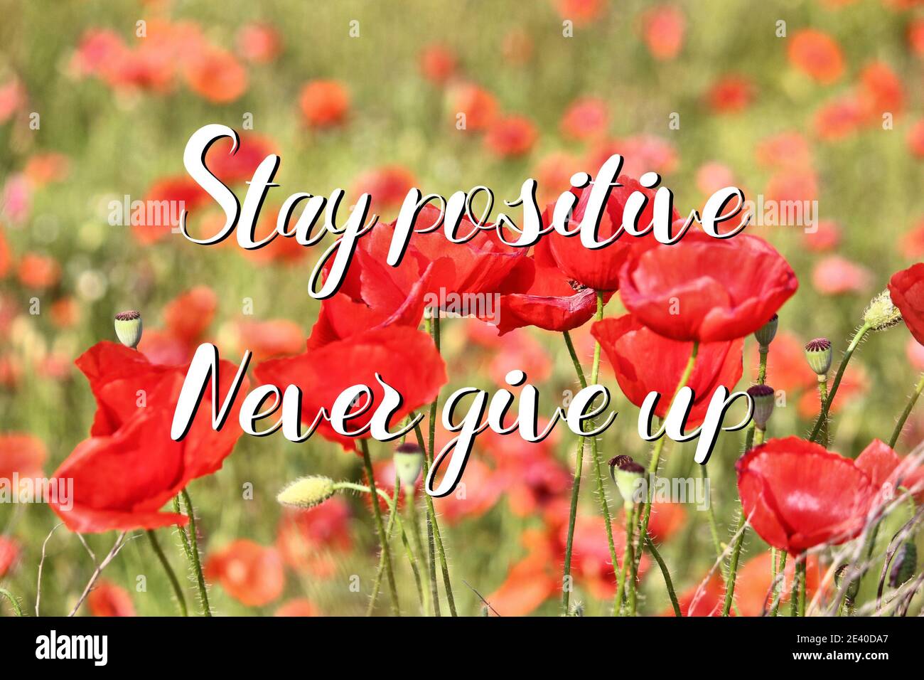 Restez positif, ne jamais renoncer. Poster de devis motivationnel. Motivation de succès. Banque D'Images