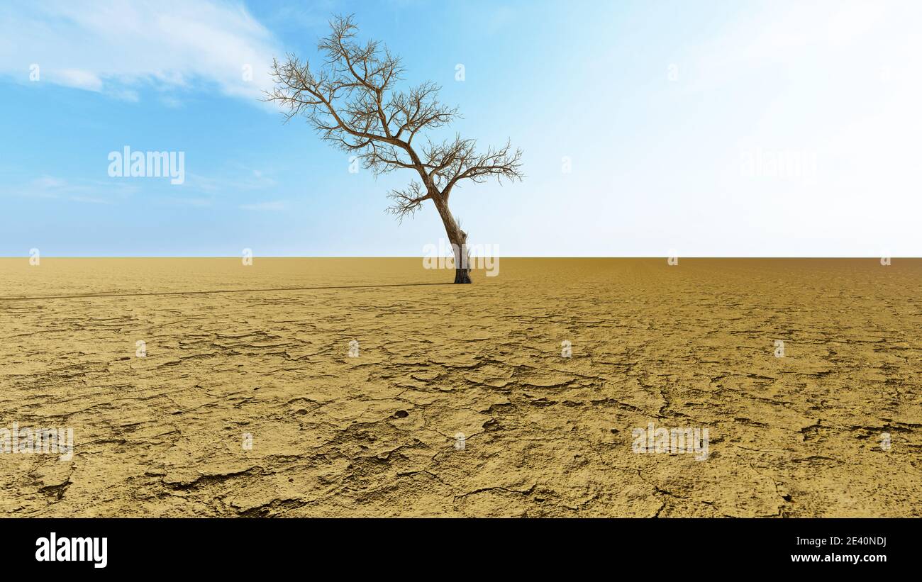 Concept ou paysage désertique conceptuel avec un arbre desséché comme métaphore du réchauffement climatique et du changement climatique Banque D'Images