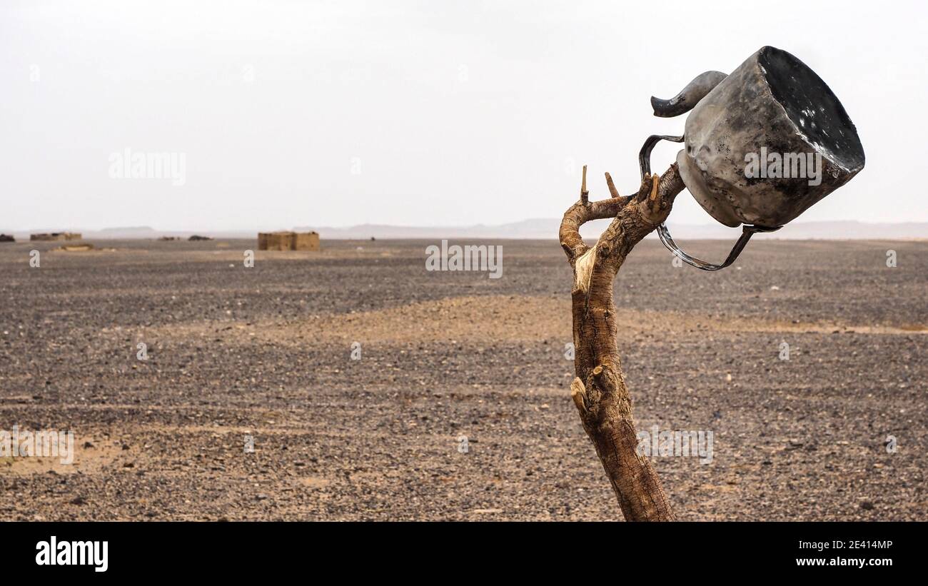 Gros plan d'une vieille théière en métal sur une branche sèche au milieu du désert du Sahara marocain. Banque D'Images