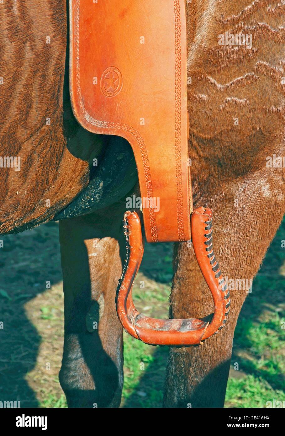 Ancien étrier De Cheval Avec Boucle En Cuir D'origine (Occasion, Bell Stirrups)