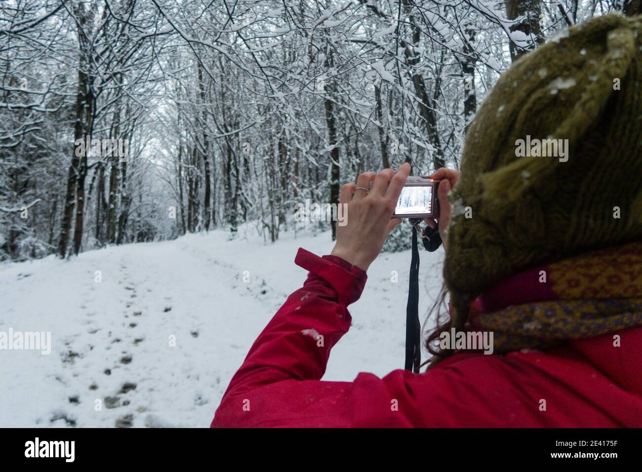 Une femme qui prend des photos d'une forêt couverte de neige Banque D'Images