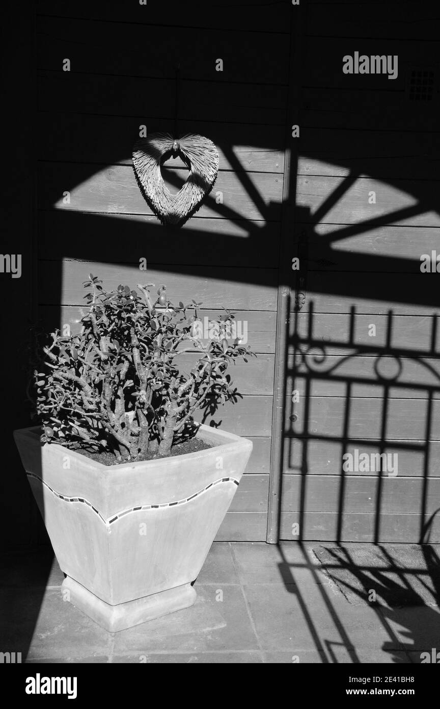 Maison rustique. Plante dans vase en céramique, coeur de paille suspendu sur la porte en bois de maison. Noir et blanc. Banque D'Images