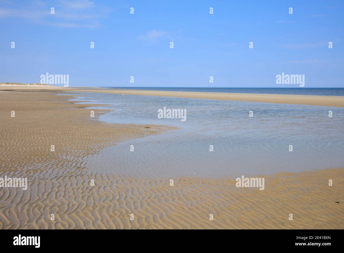 Parc national mer des wadden, Borkum, Ile de Frise orientale, frise orientale, Basse-Saxe, Allemagne, Europe Banque D'Images