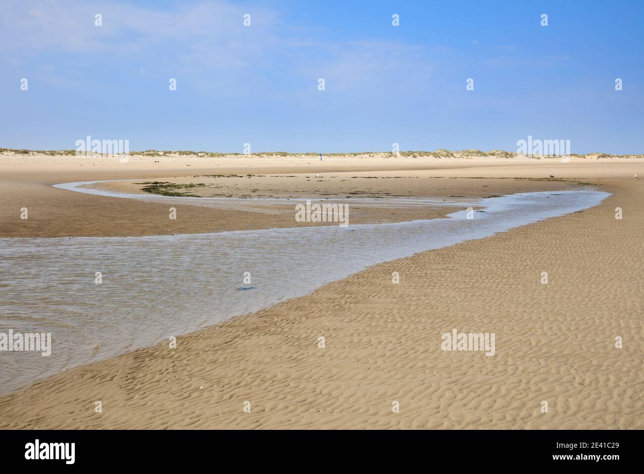 Parc national mer des wadden, Borkum, Ile de Frise orientale, frise orientale, Basse-Saxe, Allemagne, Europe Banque D'Images