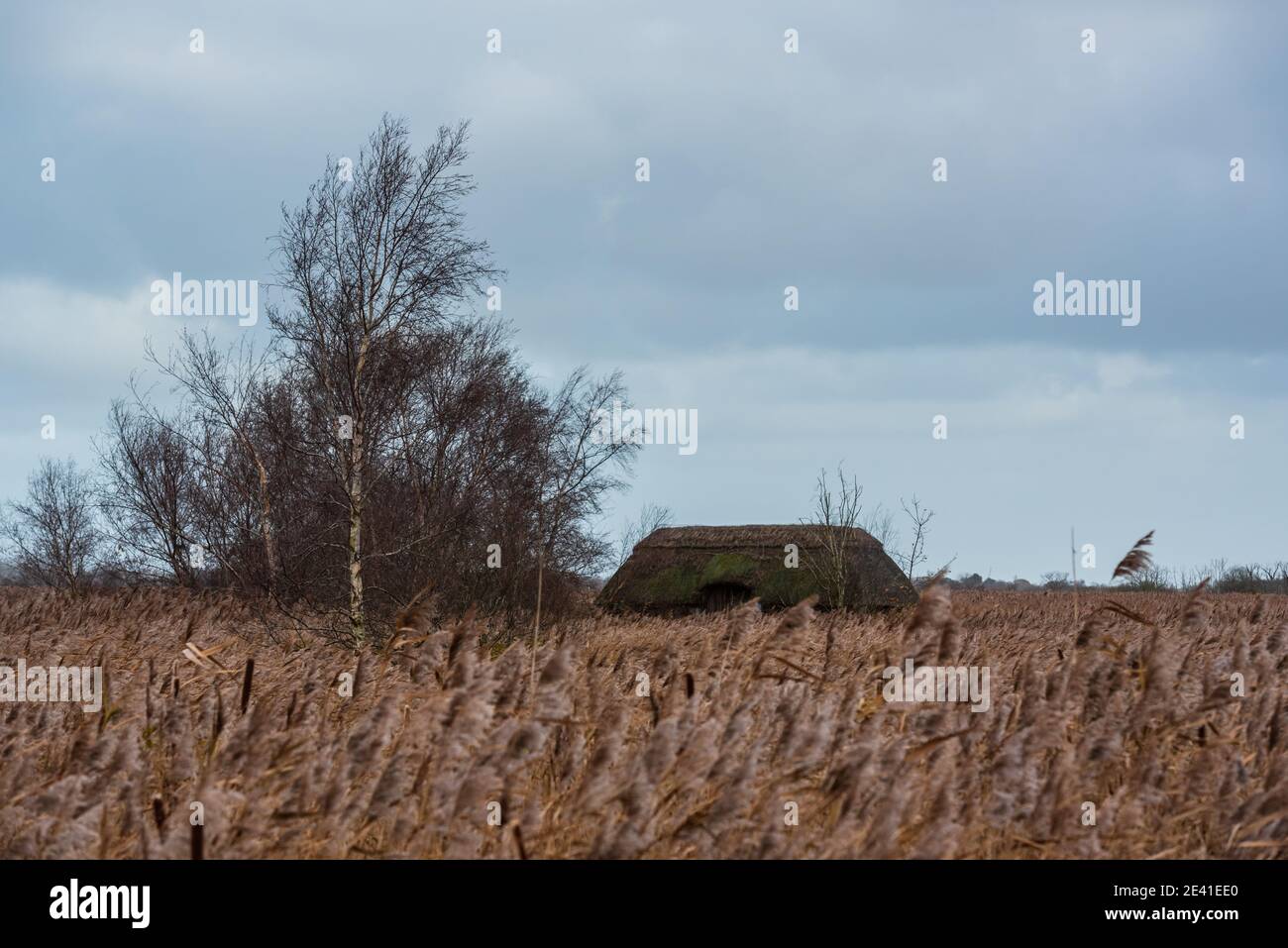 Hickling large réserve naturelle XII. Hickling T.N.-O., décembre 2020 Banque D'Images