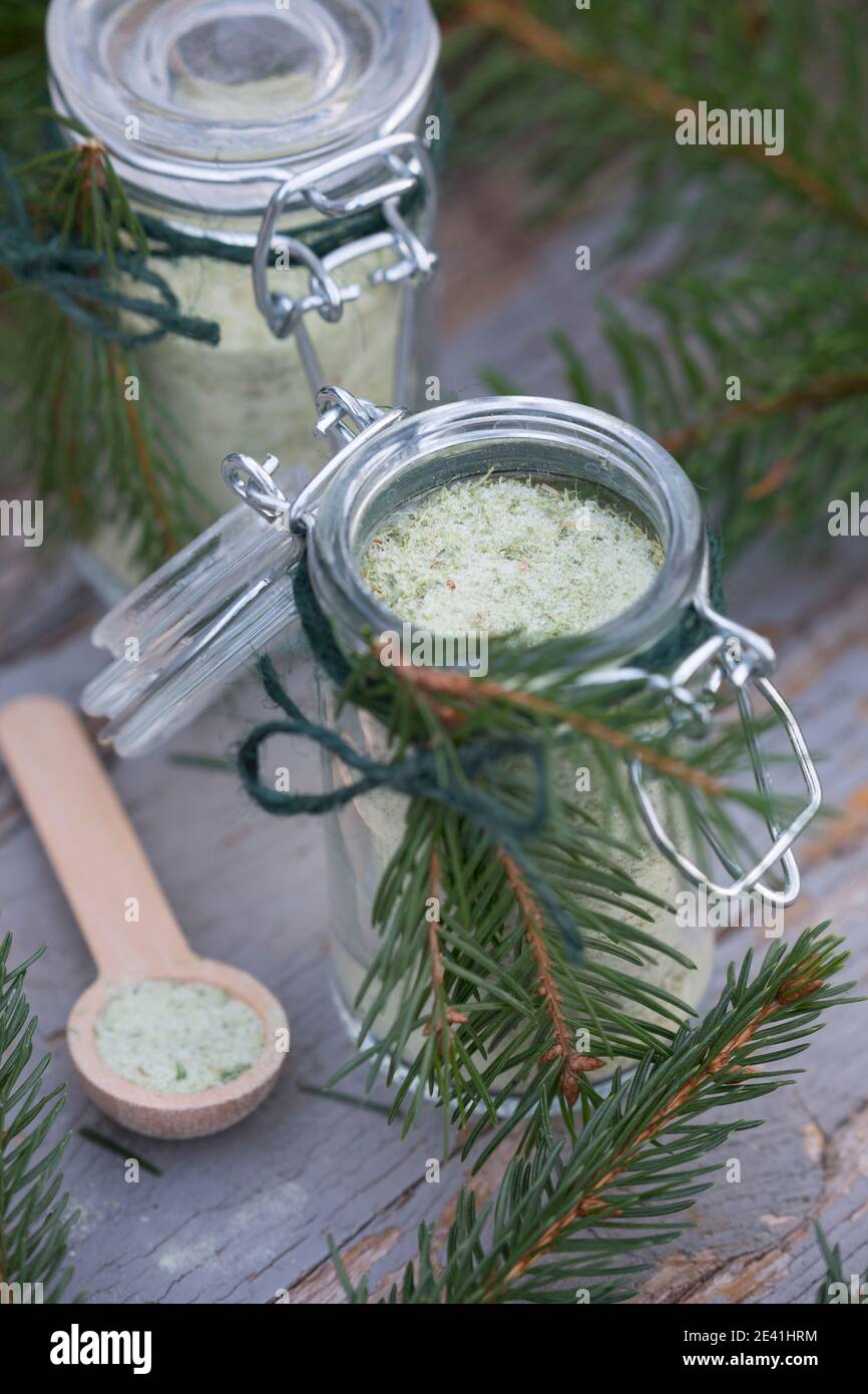 Épinette de Norvège (Picea abies), sel d'épinette auto-fabriqué, Allemagne Banque D'Images