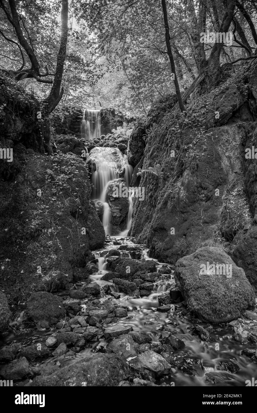 Longue exposition chute d'eau de Clampitt Falls aux chutes Canonteign de Dartmoor Banque D'Images