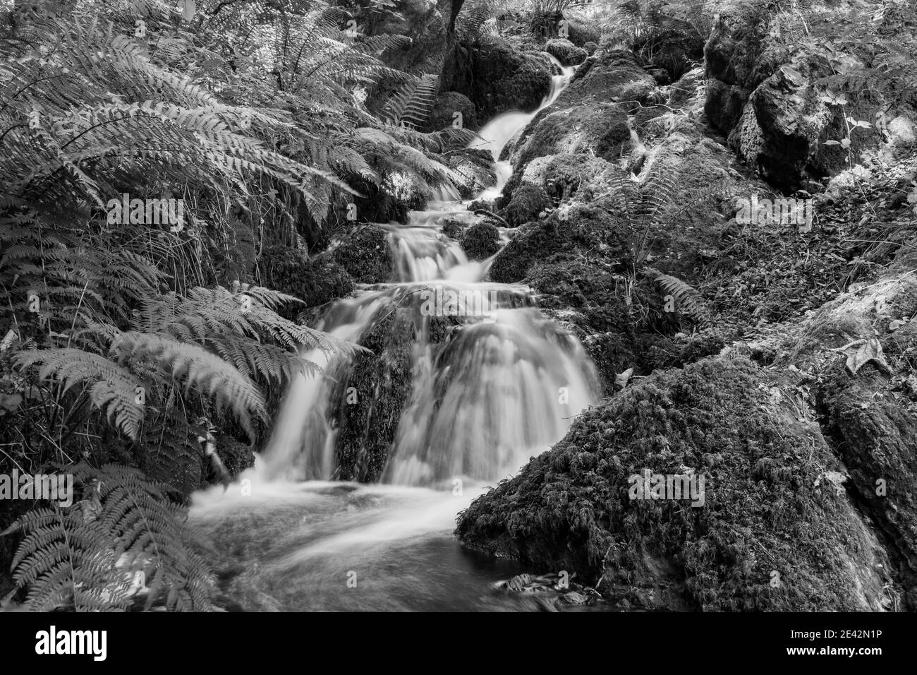 Longue exposition d'une cascade qui coule à travers les bois à Chutes Canonteign à Dartmoor Banque D'Images