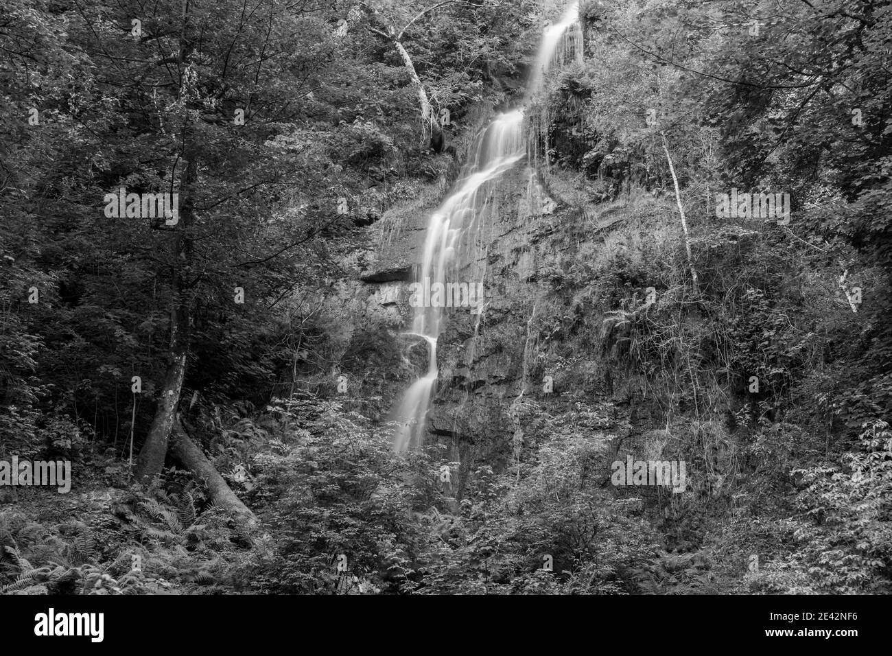 Longue exposition de la cascade qui coule au-dessus de la falaise à Chutes Canonteign à Dartmoor Banque D'Images