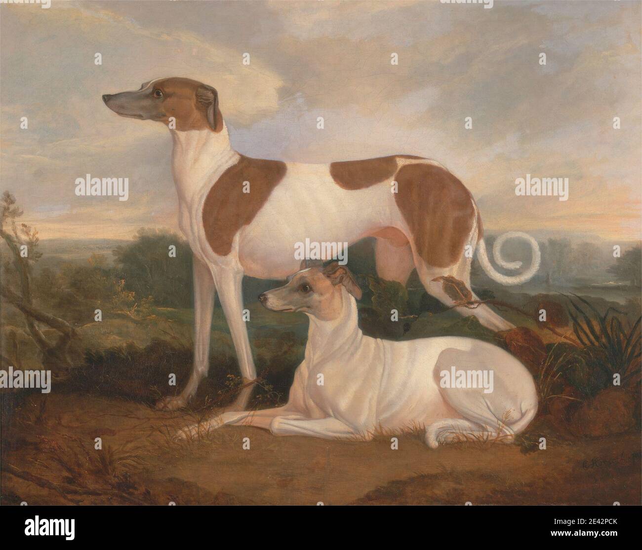 Charles Hancock, 1802â€“1877, British, deux Grayhounds dans un paysage, entre 1830 et 1850. Huile sur toile. Chiens (animaux) , lévriers (race) , paysage , pedigree , rural , art sportif Banque D'Images