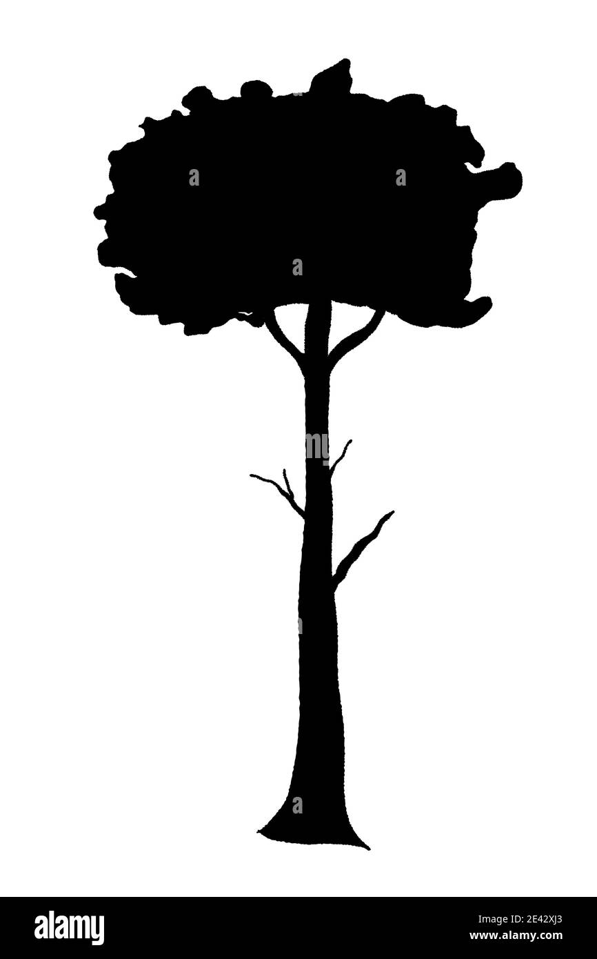 Illustration du vecteur de forme d'arbre. Silhouette d'arbre isolée dessinée à la main. Illustration de Vecteur