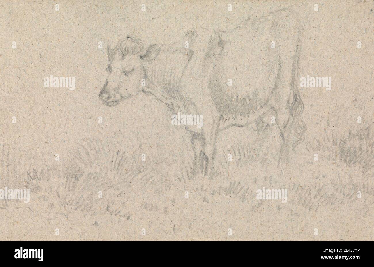 John Crome, 1768 – 1821, British, A Cow, non daté. Graphite sur papier beige à texture moyenne. Art animal , vache , herbe , pâturage Banque D'Images