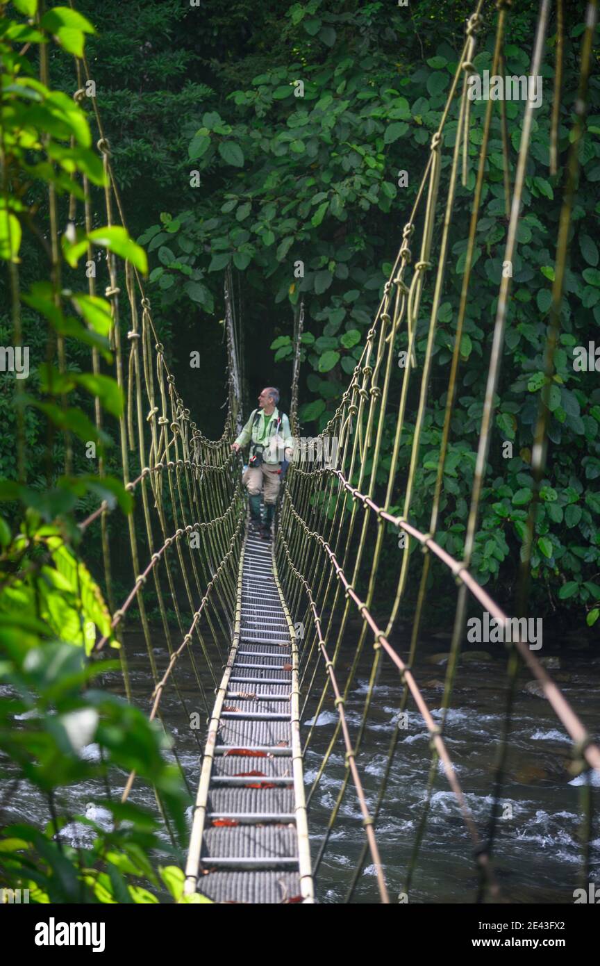 homme traversant un pont suspendu dans la jungle au-dessus d'une rivière Banque D'Images